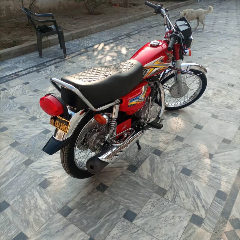 125 model 2024/25 14