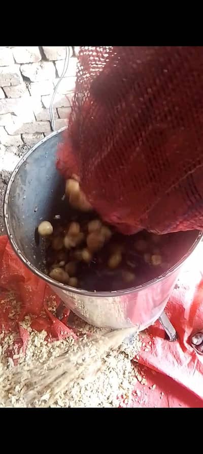 potato crushing machine