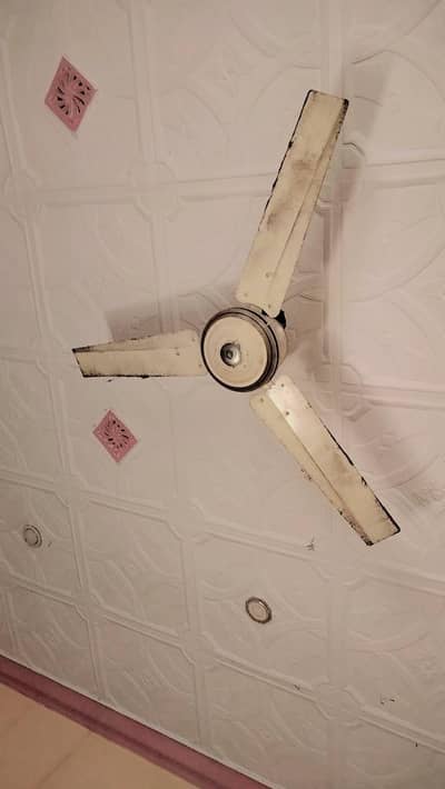 gud condition fans copr