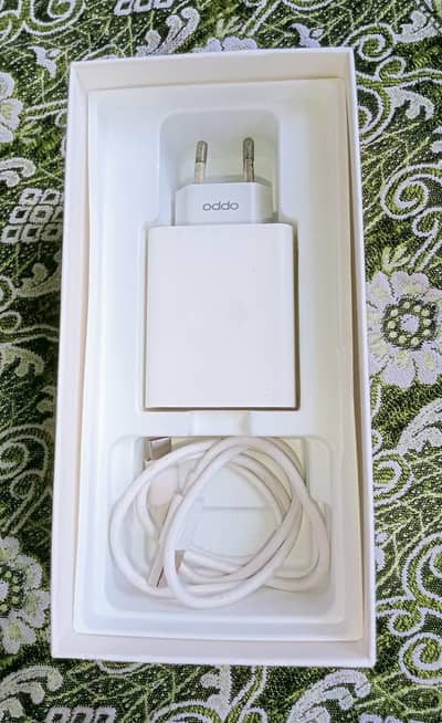 Only WhatsApp Contact