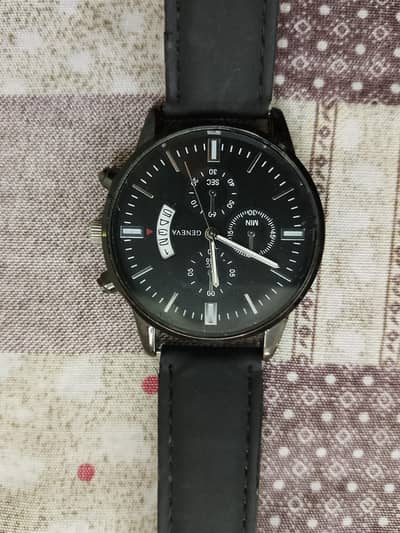 Geneva men watch