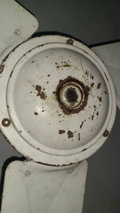 celling fan ha condition  10 ha  motor or body ke sirf paint hony wala