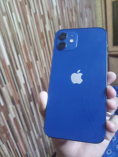 Apple iphone 12 non pta (jv) in 10/8 condition