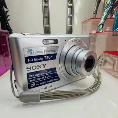 Sony Cyber-shot DSC-W620 14.1MP 5x Optical CCD Digital Camera -Silver