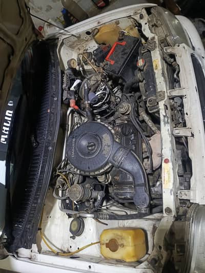 Cuore genioun inner and front 03015945996