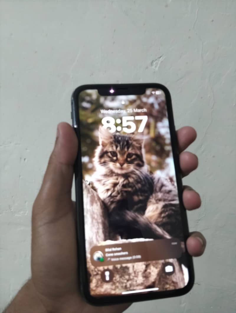 Iphone 11 1
