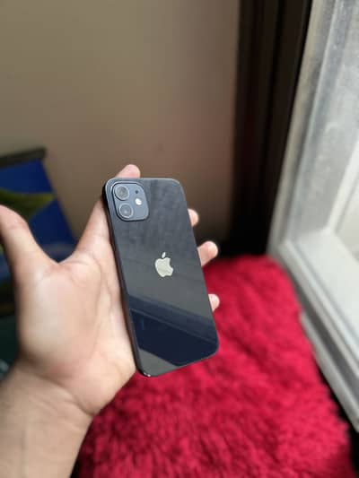 iPhone 12 dual approved