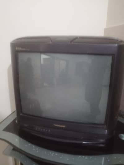 Panasonic Television (TV)