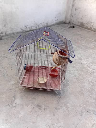 bird cage