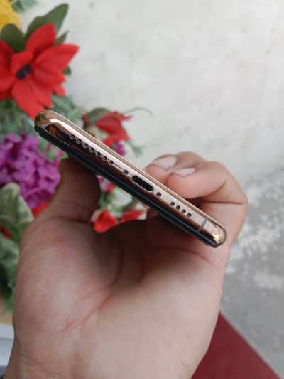 Apple iPhone XS Max