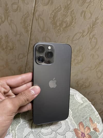 13 PRO MAX (graphite)