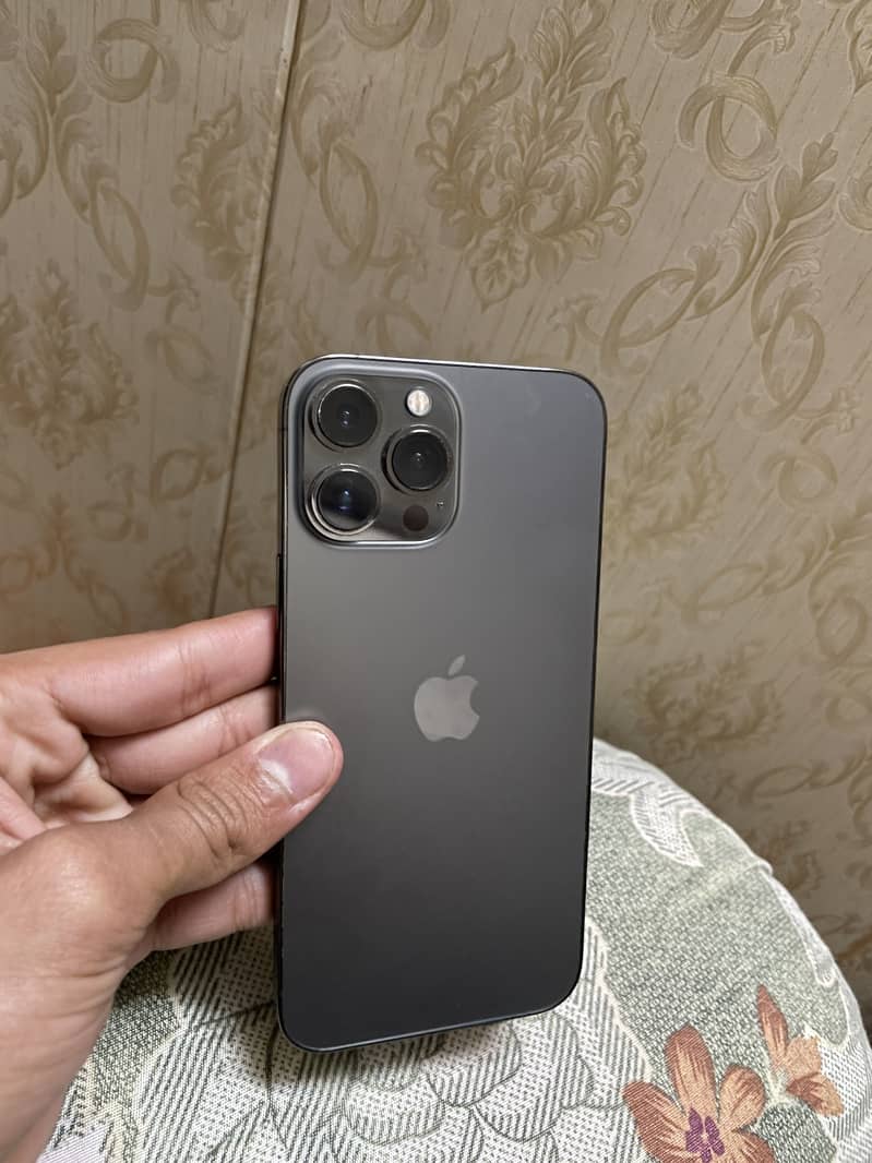 13 PRO MAX (graphite) 0