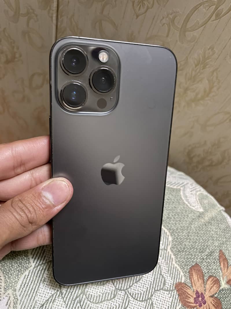 13 PRO MAX (graphite) 1