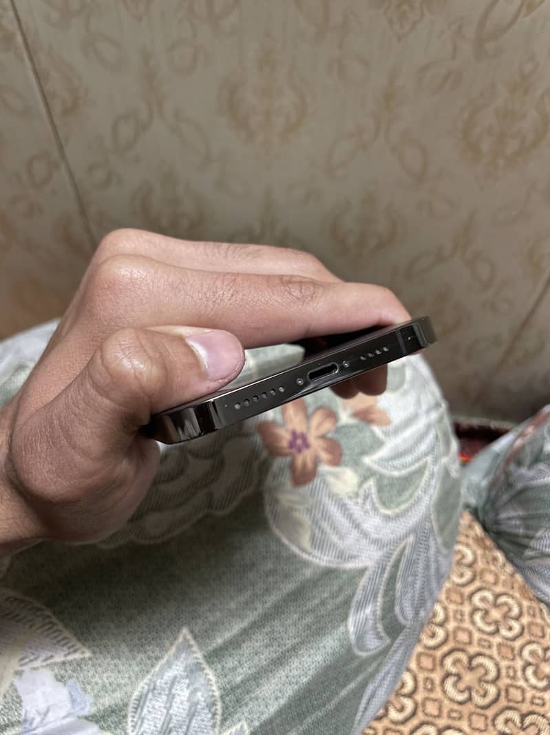 13 PRO MAX (graphite) 2