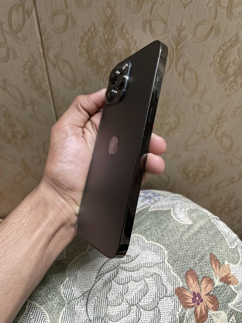 13 PRO MAX (graphite) 6