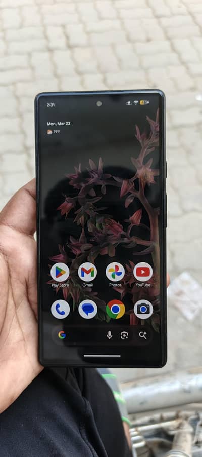 official PTa approved