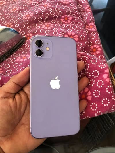 iPhone 12 64gb PTA approved