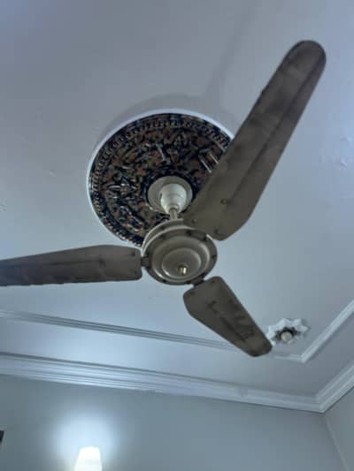 celling fans for sale