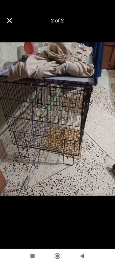 cage for urgent sale or number 03353820736