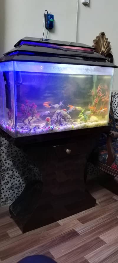 Aquarium Set