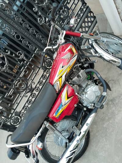 10 by 10 condition hain