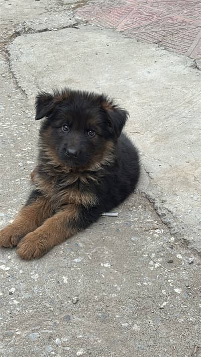 Selling it in emergency