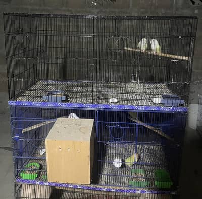 birds cage's in excellent condition