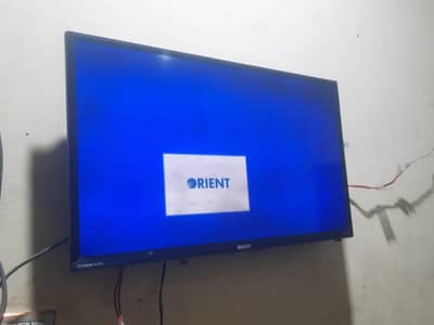 orient 32 Inches Led