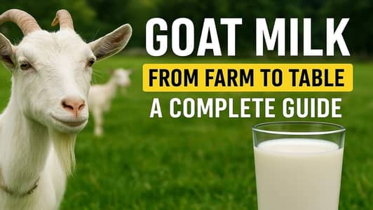 Fresh and Organic Goat Milk for Kids and Patients