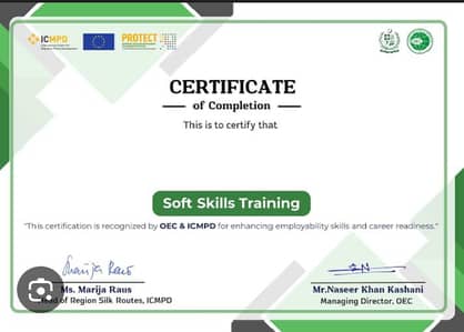soft skills certificate