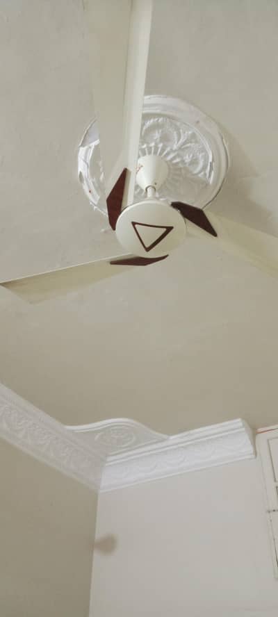 Royal Fan 99.9℅ Copper Winding, Very Good Condition like New.