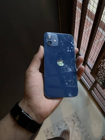 Iphone 12(Pta Approve)