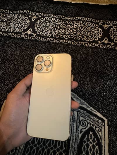 Apple iPhone 13 Pro Max