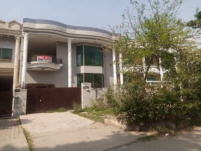 I-8 Beautiful Ground With Basement For Rent.