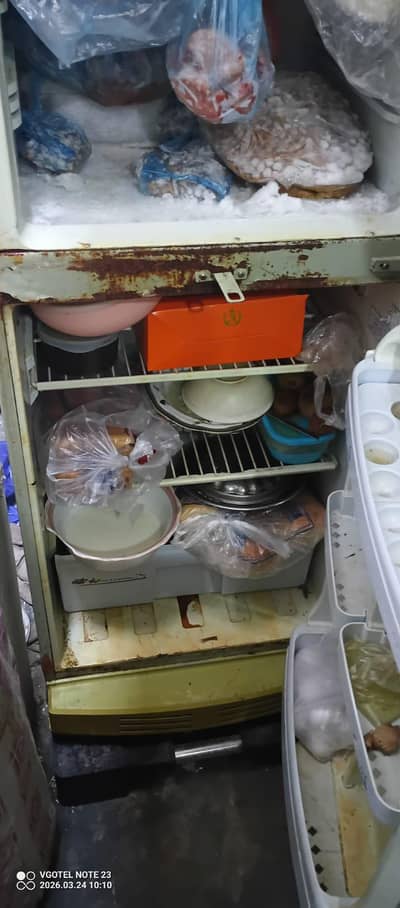 Pel Fridge 100% Okay Just buy and Use