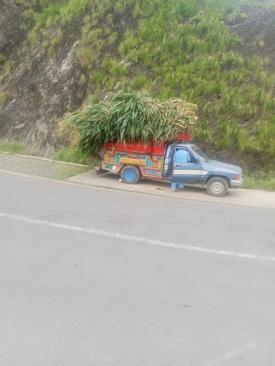 فروحت کرنا چاہتا ہوں