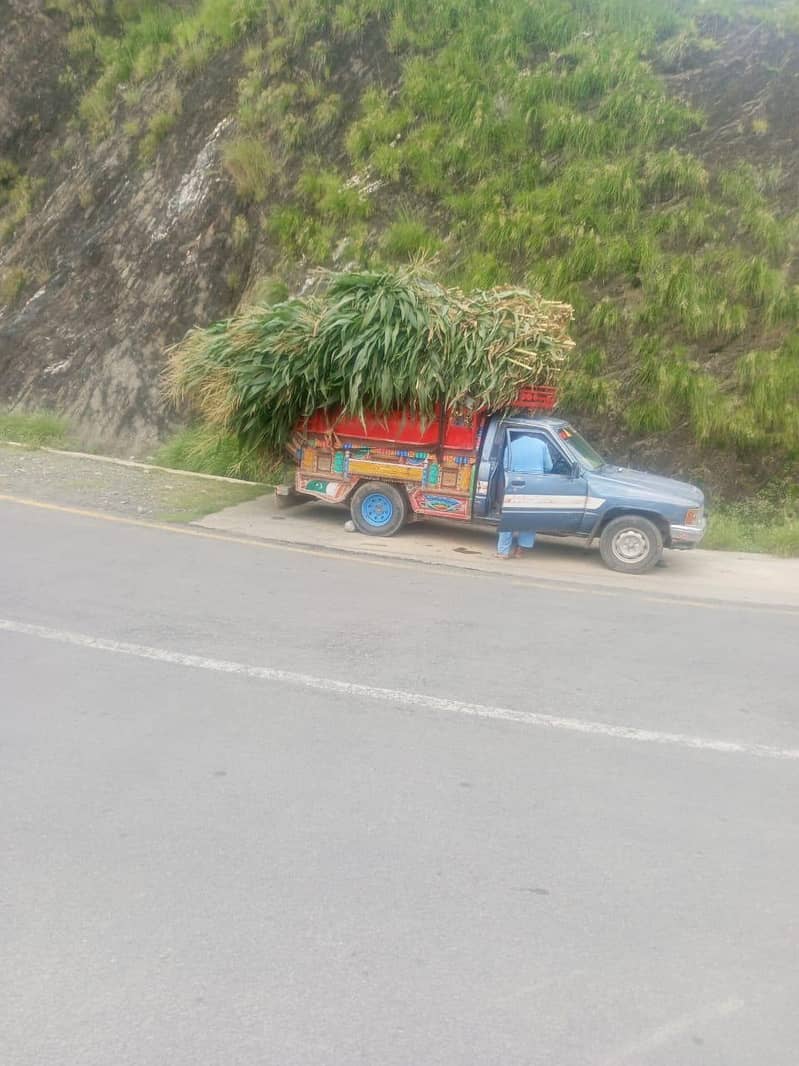 فروحت کرنا چاہتا ہوں 0