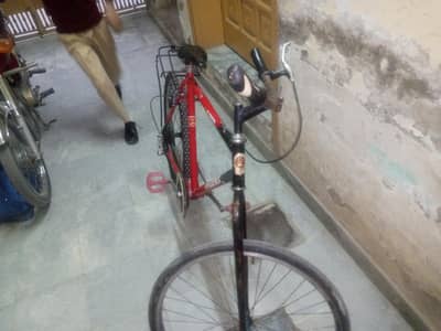 Bicycle phoneix cycle