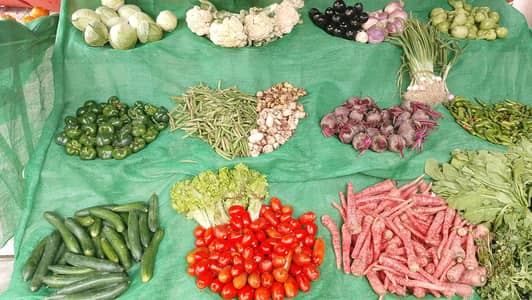  fruit and vegetables Frame