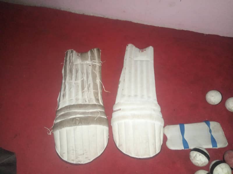 cricket kit 5