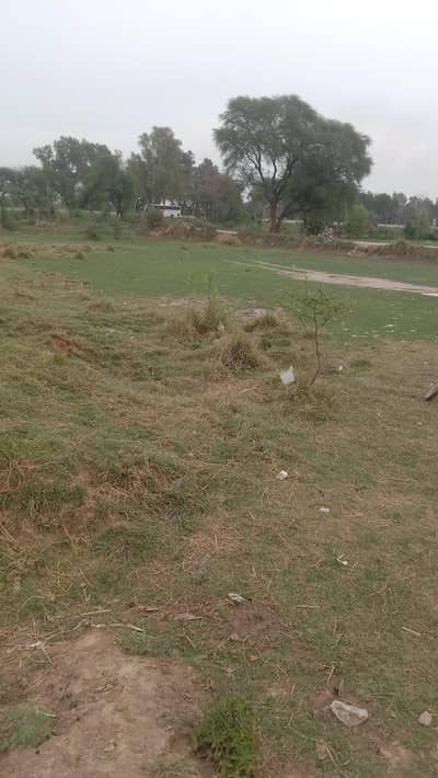 46 Marla plot Bhera thatti walana motorway pull