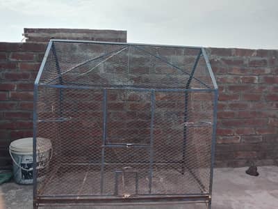 paroot cage