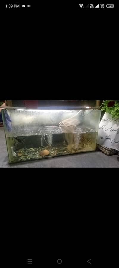 3ft Fish aquarium with decoration