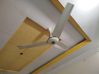 2 Royal Deluxe fans for sale.