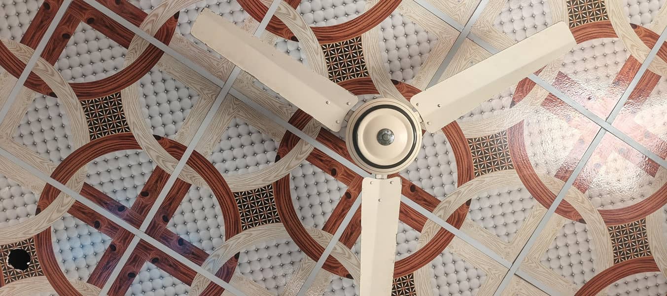 Ceiling Fan 2