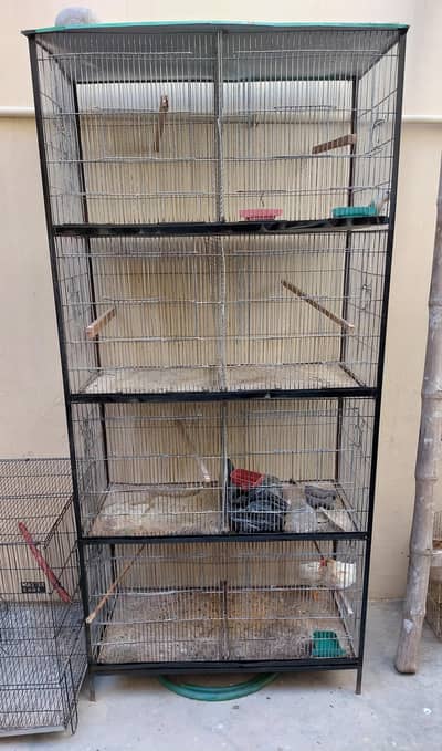 8 Portion Cage And Master Colony Folding Cage