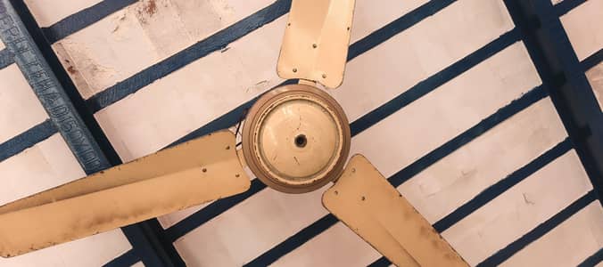 Ceiling Fan