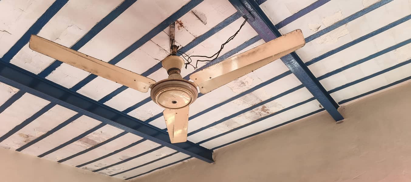 Ceiling Fan 2