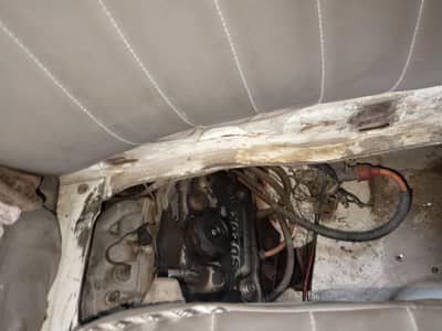 bolan inner geniun  outer shower fresh look