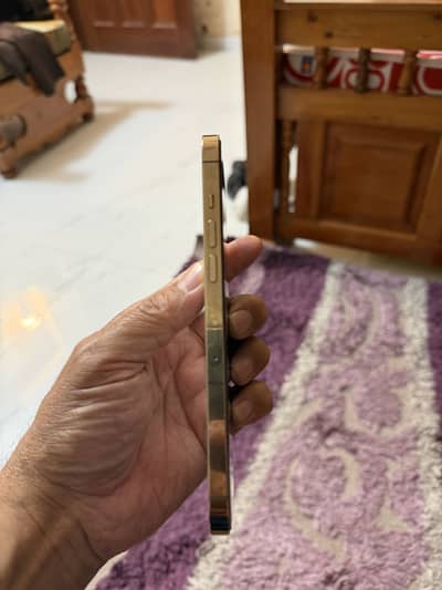 Golden iPhone 12 Pro Max
